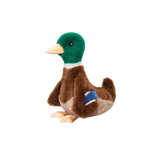 Desie Mallard Duck