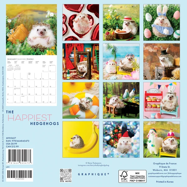The Happiest Hedgehogs Mini Calendar