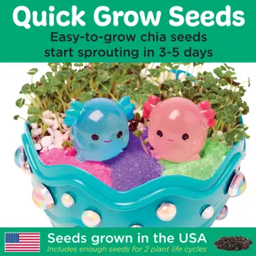 Grow A Mini Garden - Axolotl