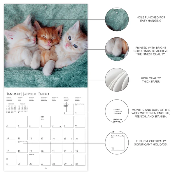 Cute Kittens Wall Calendar