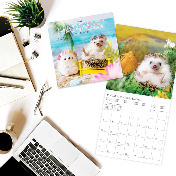 The Happiest Hedgehogs Mini Calendar