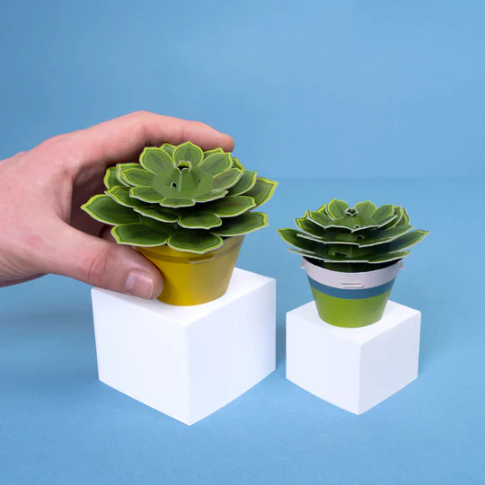 Make Your Own Soothing Succulent Paper Craft