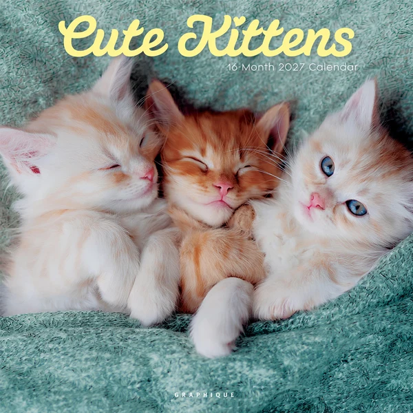 Cute Kittens Wall Calendar