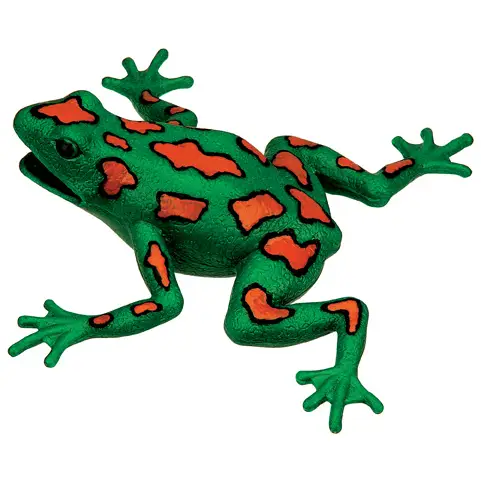 Frog Squishimal - Assorted Styles