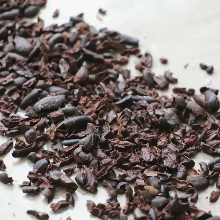 Chocolate Cacao Nib Cookies