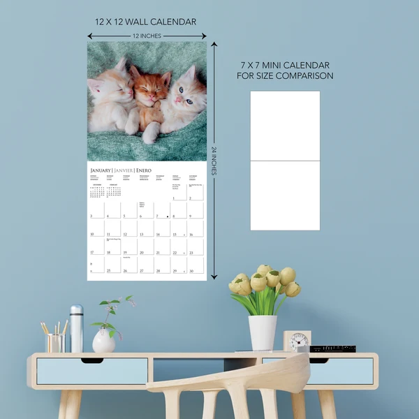 Cute Kittens Wall Calendar