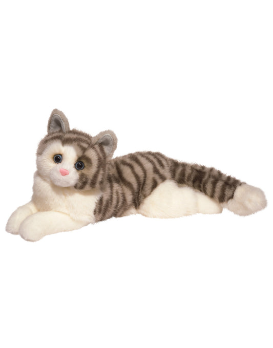 Smokey Gray Cat
